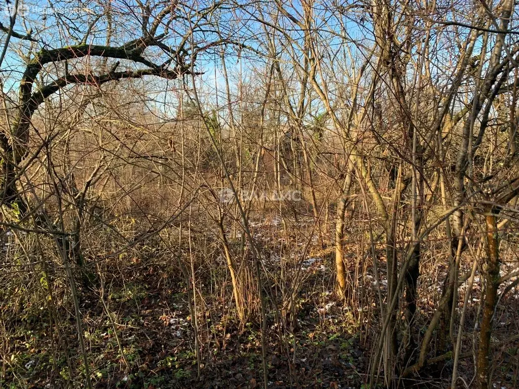 Участок в Майкоп, СНТ Звёздочка, Обильная улица (5.04 м) - Фото 1