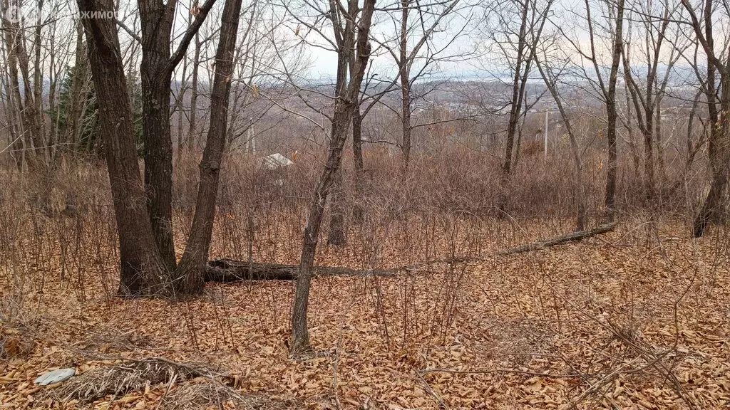 Участок в Артём, СТ Глобус-1 (10 м) - Фото 1