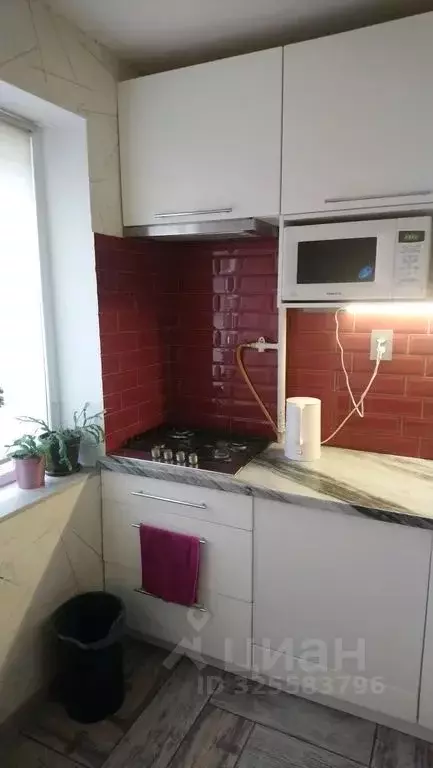 2-к кв. Белгородская область, Белгород ул. 5 Августа, 42 (47.0 м) - Фото 1