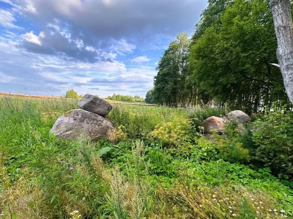 участок в ленинградская область, выборгский район, красносельское . - Фото 0