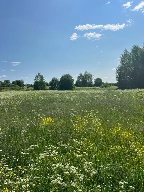 Участок в Ярославская область, Угличский муниципальный округ, д. ... - Фото 1