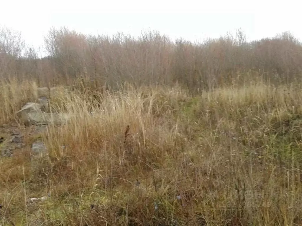 Участок в Псковская область, Псков Почтовая ул. (11.0 сот.) - Фото 1