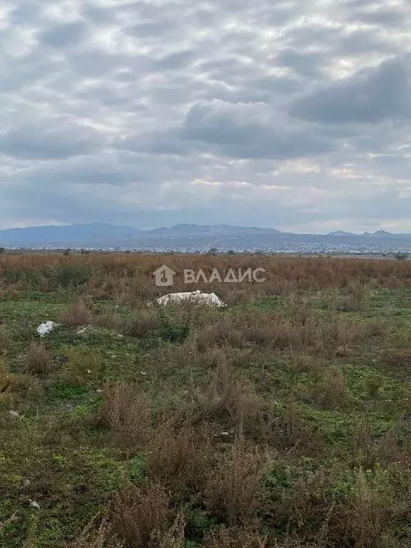 Участок в Бурятия, Иволгинский район, Гурульбинское муниципальное ... - Фото 1