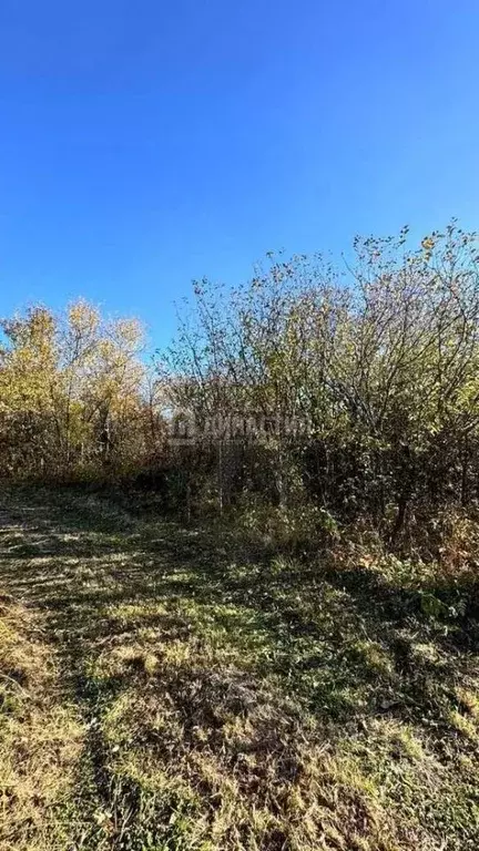 Участок в Пензенская область, Пенза пос. Дубрава,  (6.0 сот.) - Фото 1