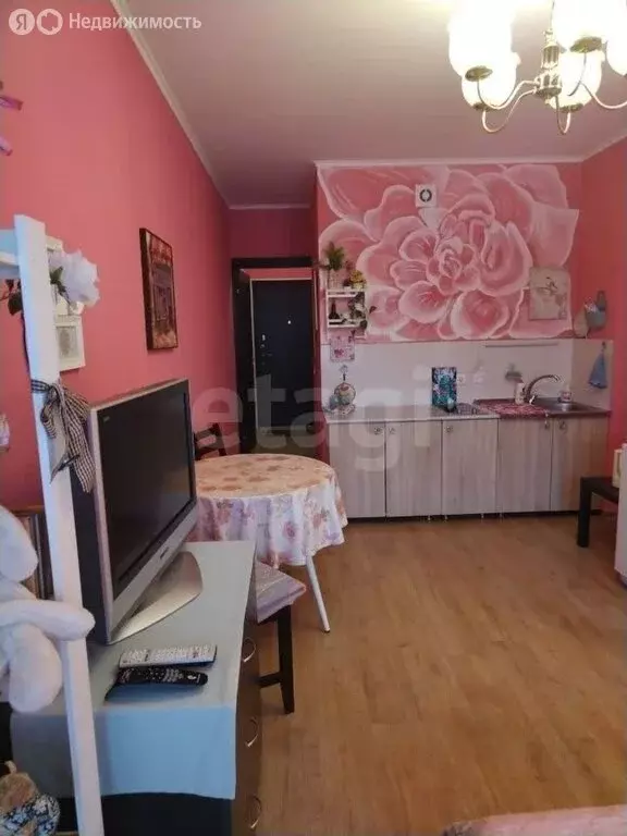 Квартира-студия: Санкт-Петербург, проспект Ветеранов, 169к3 (24 м) - Фото 1