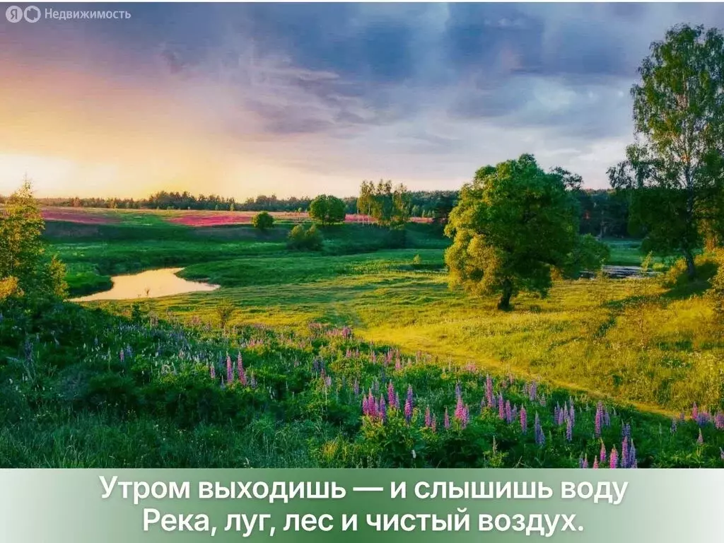 Участок в Московская область, городской округ Клин, ДП Рижские дачи ... - Фото 1