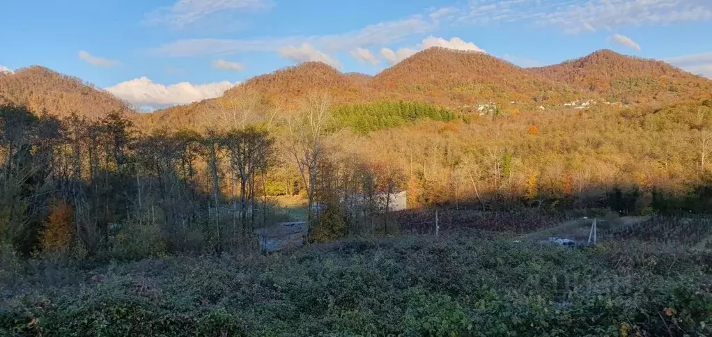 Участок в Краснодарский край, Сочи Нижняя Хобза мкр, ул. ... - Фото 0