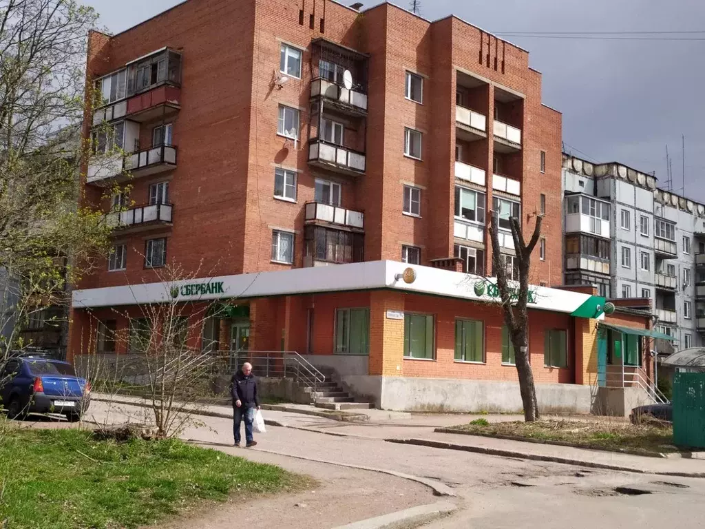 Торговая площадь в Ленинградская область, Выборг ул. Кривоносова, 9А ... - Фото 1