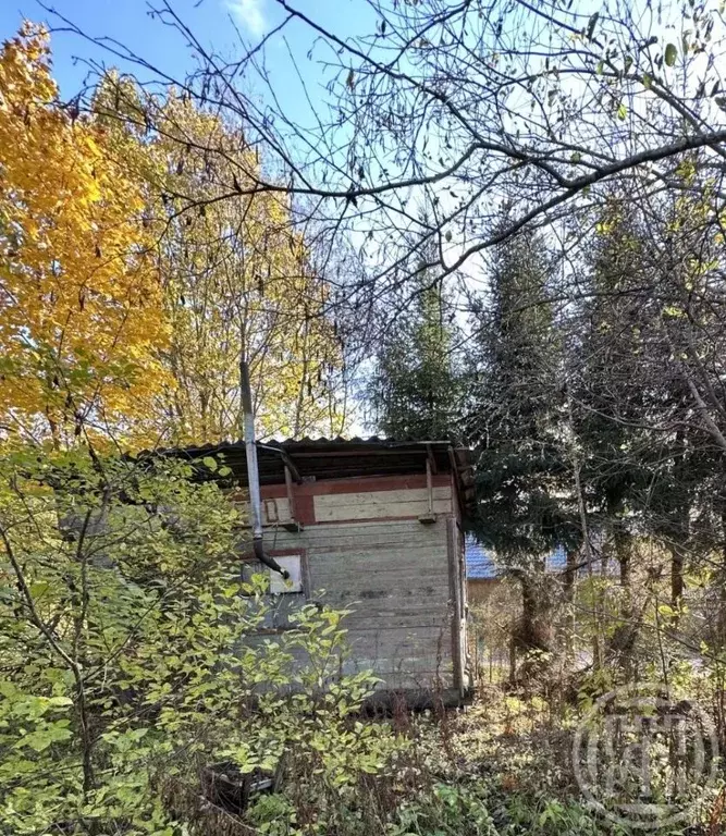 Участок в Ленинградская область, Всеволожский район, Куйвозовское ... - Фото 1