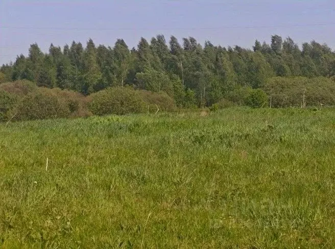 Участок в Московская область, Рузский муниципальный округ, д. Орешки  ... - Фото 1
