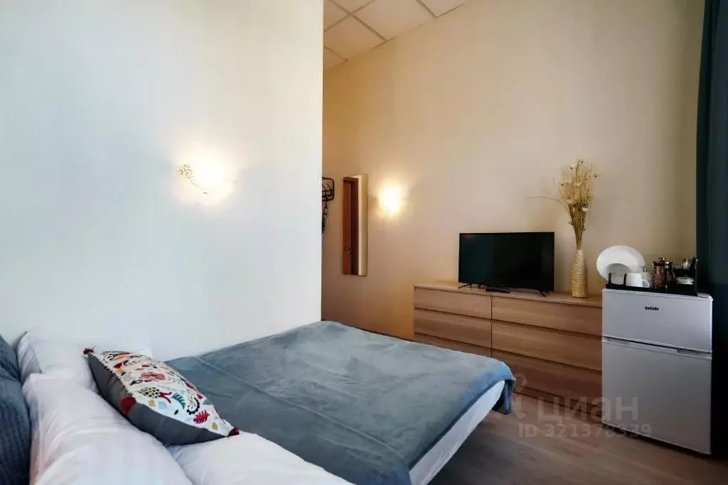 Студия Санкт-Петербург Владимирский просп., 3 (12.0 м) - Фото 0