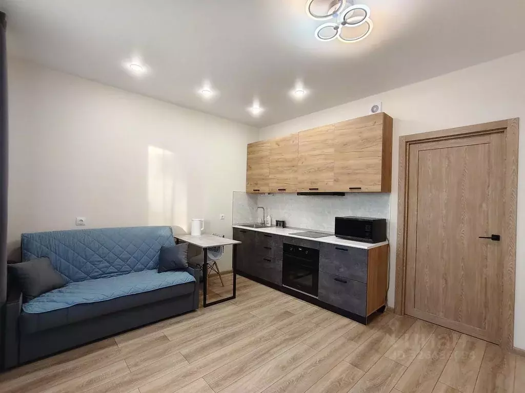 Студия Ленинградская область, Всеволожский район, Заневское городское ... - Фото 1