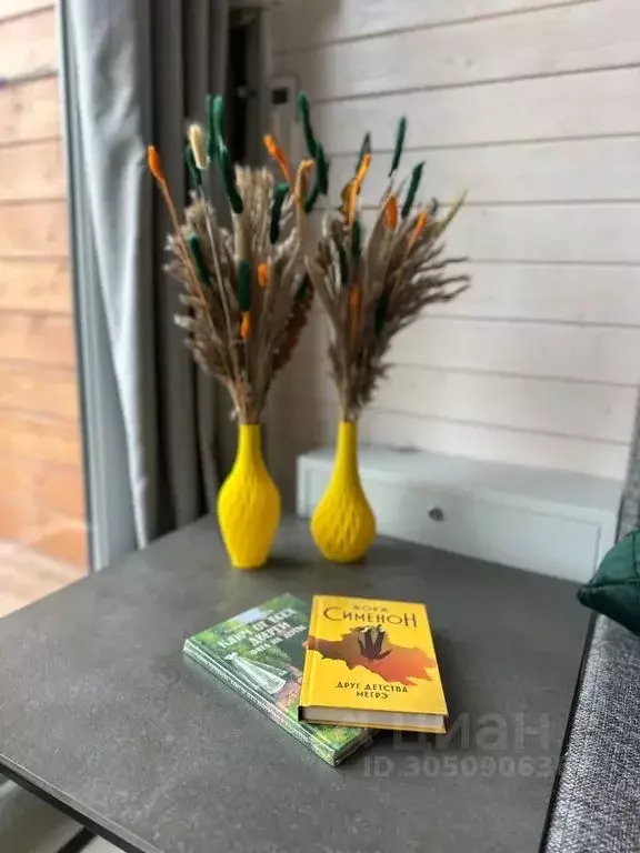 Дом в Московская область, Электроугли Богородский городской округ, ... - Фото 1