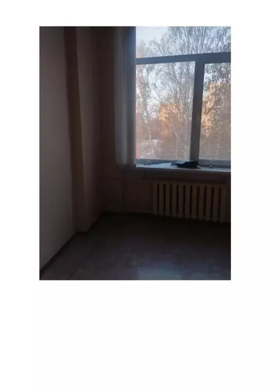 Помещение свободного назначения в Новосибирская область, Новосибирский ... - Фото 1