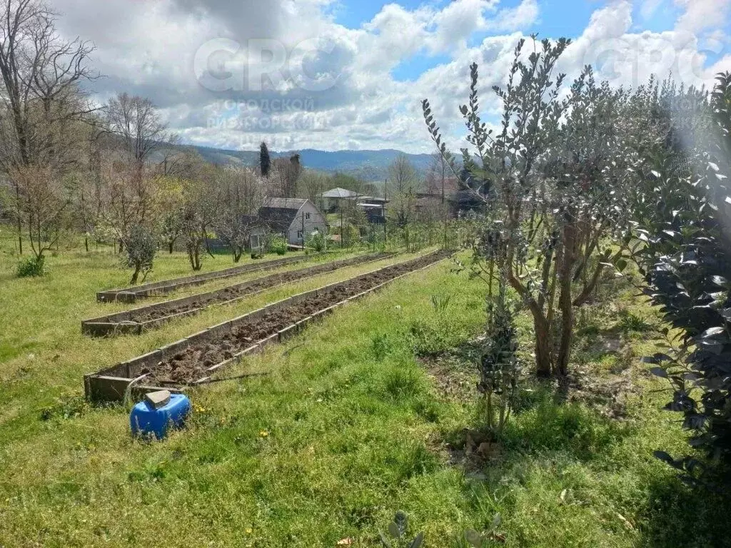 Дом в Краснодарский край, Сочи городской округ, с. Каштаны ул. ... - Фото 1