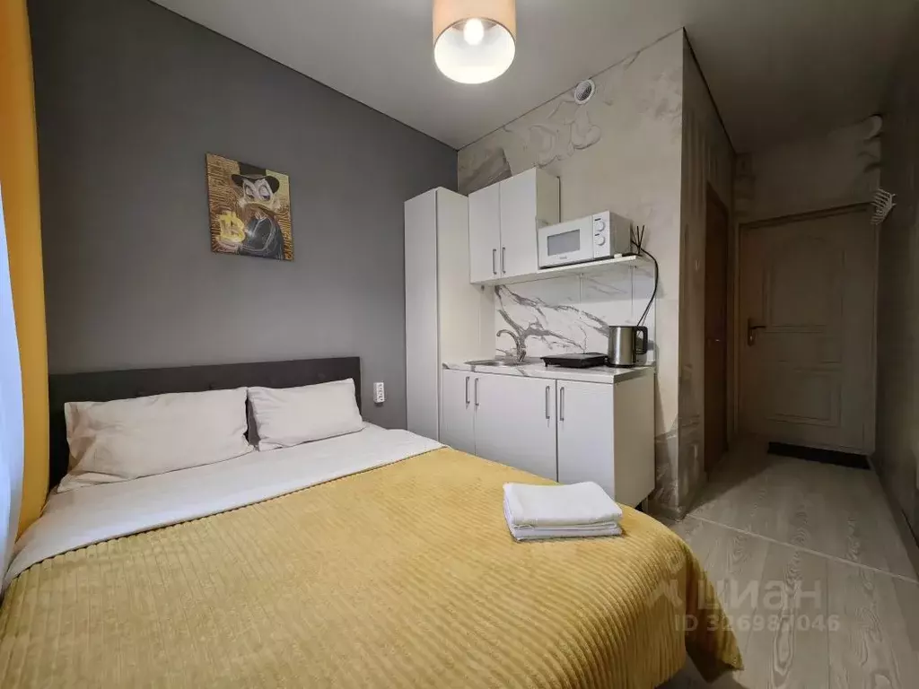 Студия Москва Автозаводская ул., 19К1 (21.0 м) - Фото 2