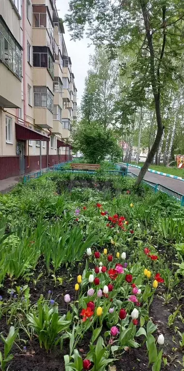 1-к. квартира, 32,6 м, 3/5 эт. - Фото 1