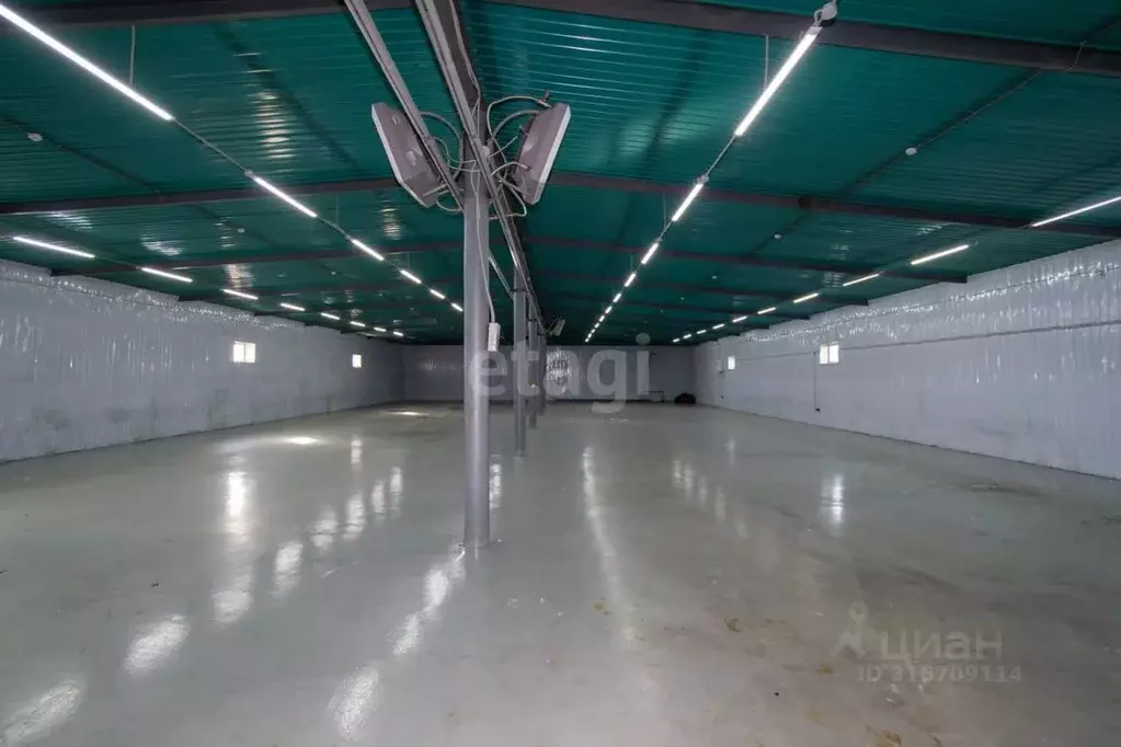 Торговая площадь в Забайкальский край, Чита ул. Бекетова, 39 (921 м) - Фото 1