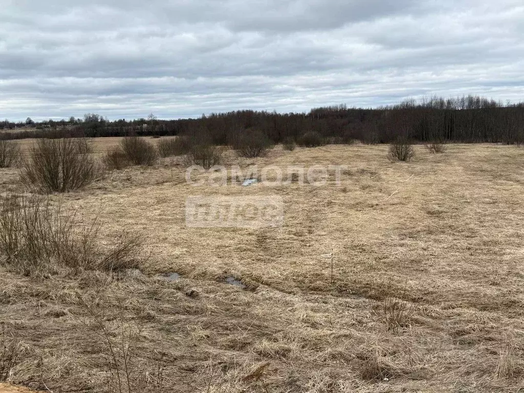 Участок в Костромская область, Красносельский район, Шолоховское ... - Фото 0