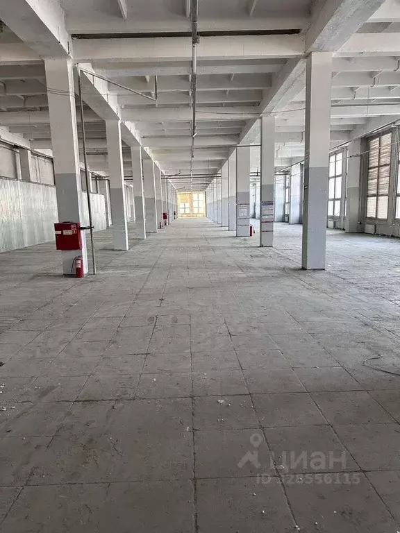 Склад в Московская область, Пушкино Кудринское ш., 6 (1547 м) - Фото 2