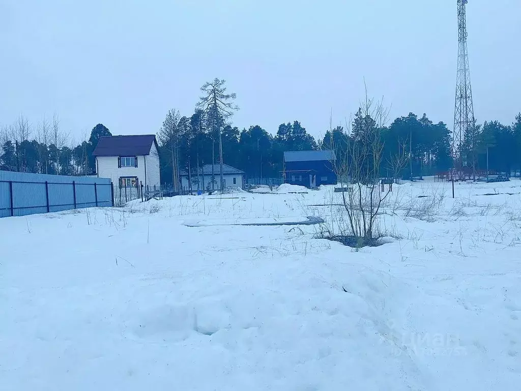 Участок в Ханты-Мансийский АО, Сургут ул. Центральная (7.5 сот.) - Фото 0
