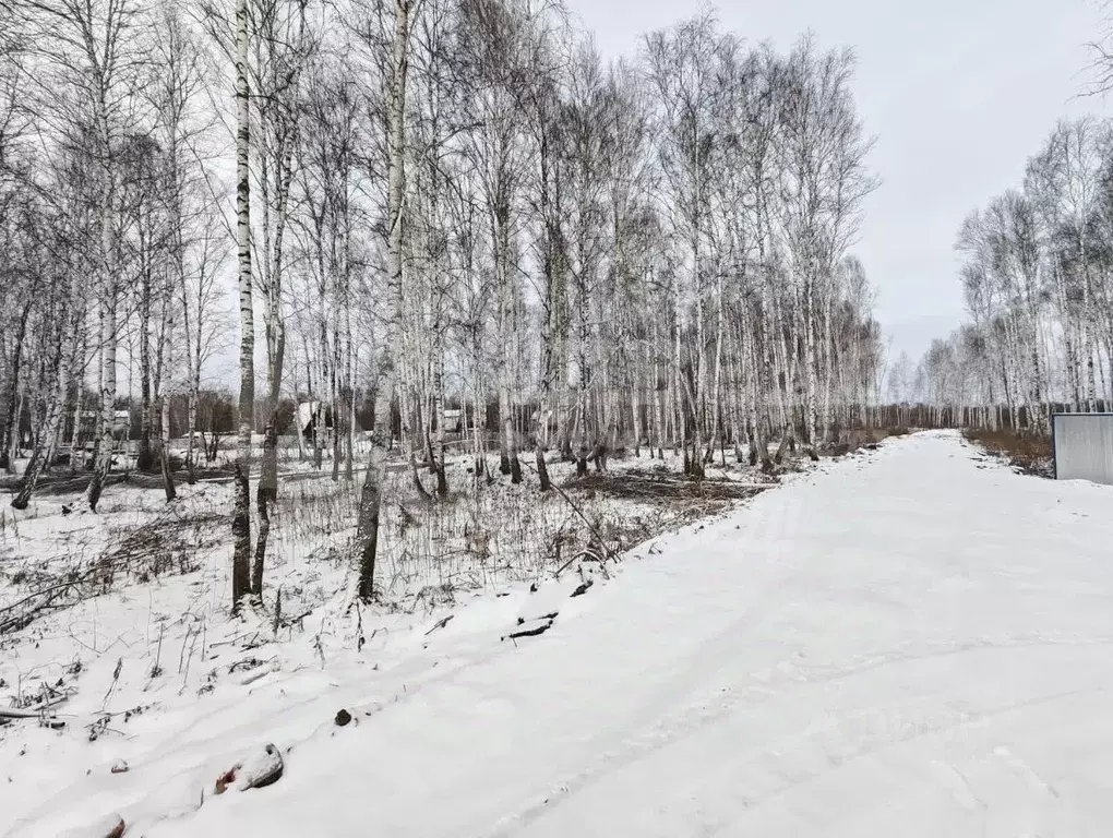 Участок в Тюменская область, Нижнетавдинский муниципальный округ, ... - Фото 2