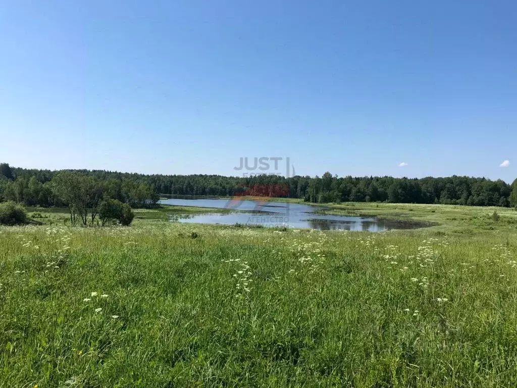 Участок в Ярославская область, Ростовский муниципальный округ, ... - Фото 0