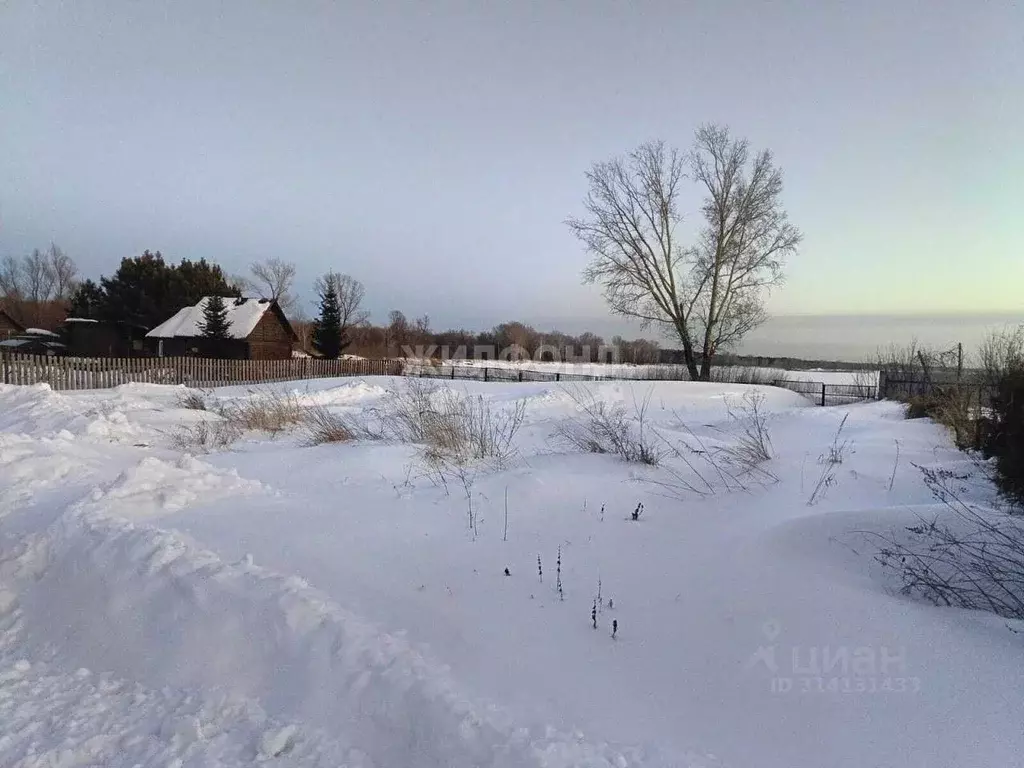 Участок в Новосибирская область, Колыванский район, Омега СНТ  (8.78 ... - Фото 0