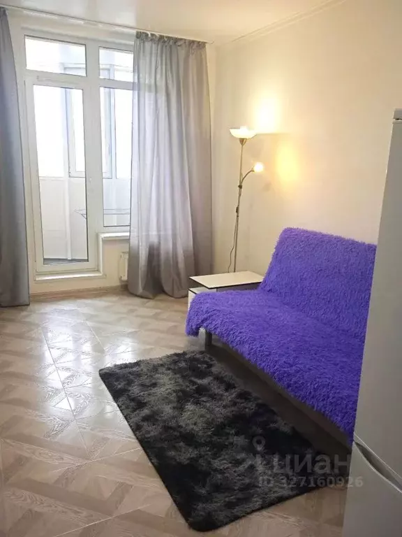 Студия Санкт-Петербург просп. Просвещения, 43 (29.0 м) - Фото 1