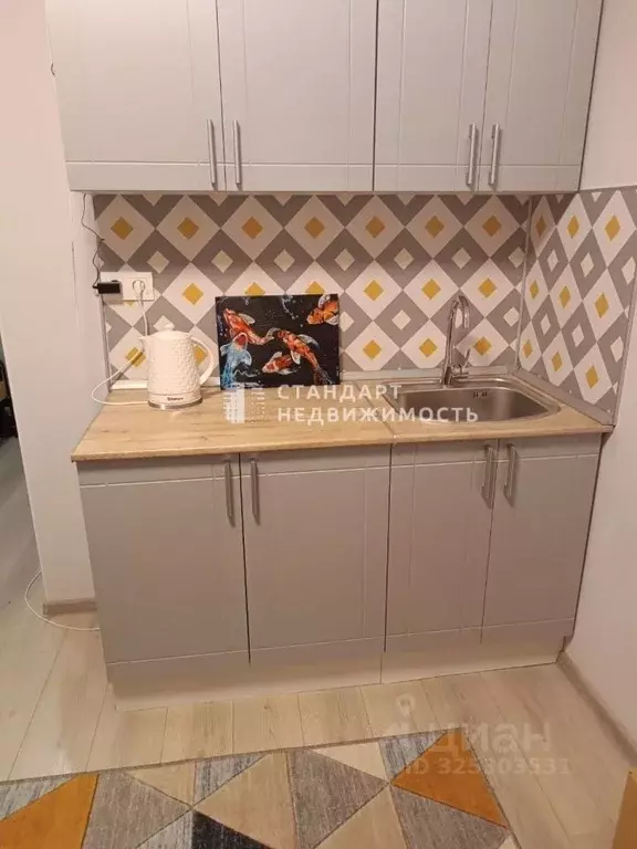 Студия Тюменская область, Тюмень ул. Новоселов, 107к1 (15.7 м) - Фото 1