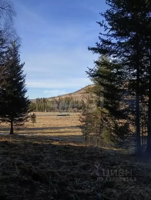 Участок в Алтай, Шебалинский район, с. Шебалино Советская ул. (203.33 ... - Фото 1