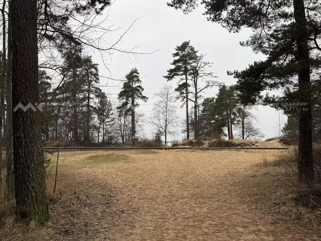 Участок в Санкт-Петербург, Санкт-Петербург, Сестрорецк Купальный пер. ... - Фото 2