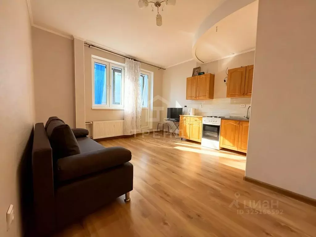 Студия Ленинградская область, Мурино Всеволожский район, аллея ... - Фото 1