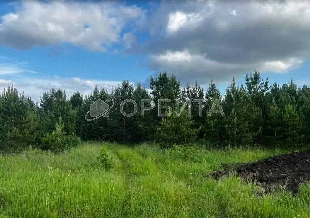 Участок в Тюменская область, Тюменский район, с. Успенка  (12.5 сот.) - Фото 0