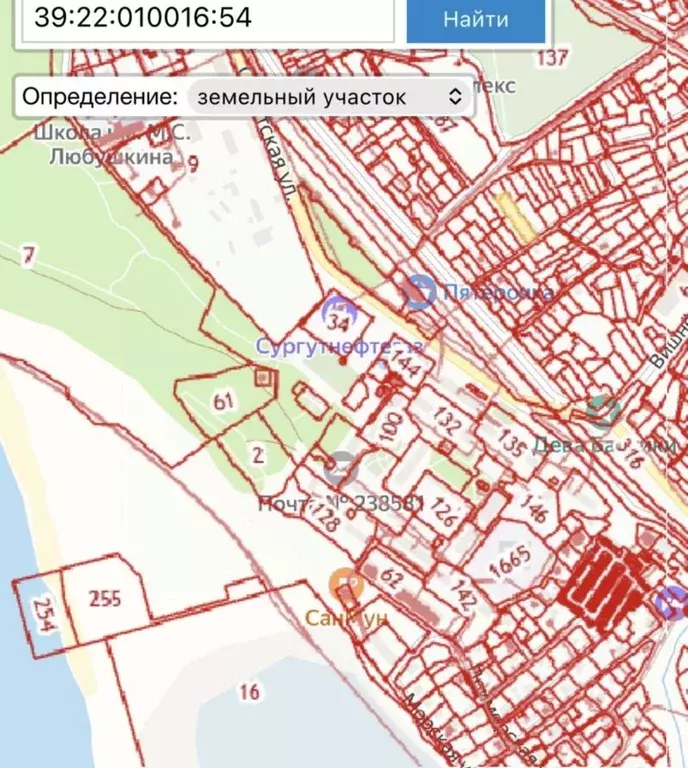 Участок в Калининградская область, Янтарный пгт, Садовник СНТ ул. ... - Фото 2