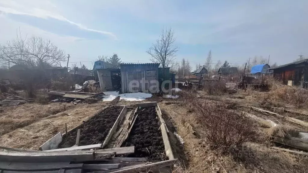 Дом в Хабаровский край, Хабаровский район, с. Черная Речка, Авангард ... - Фото 1