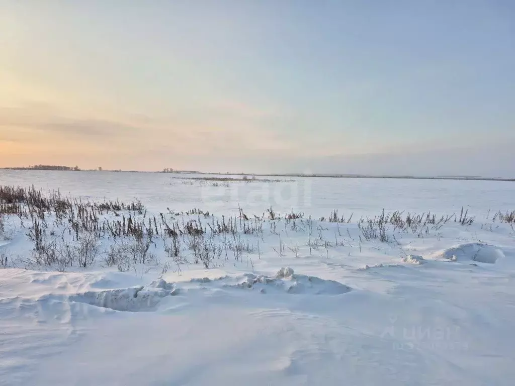 Участок в Амурская область, Благовещенский район, с. Владимировка  ... - Фото 1