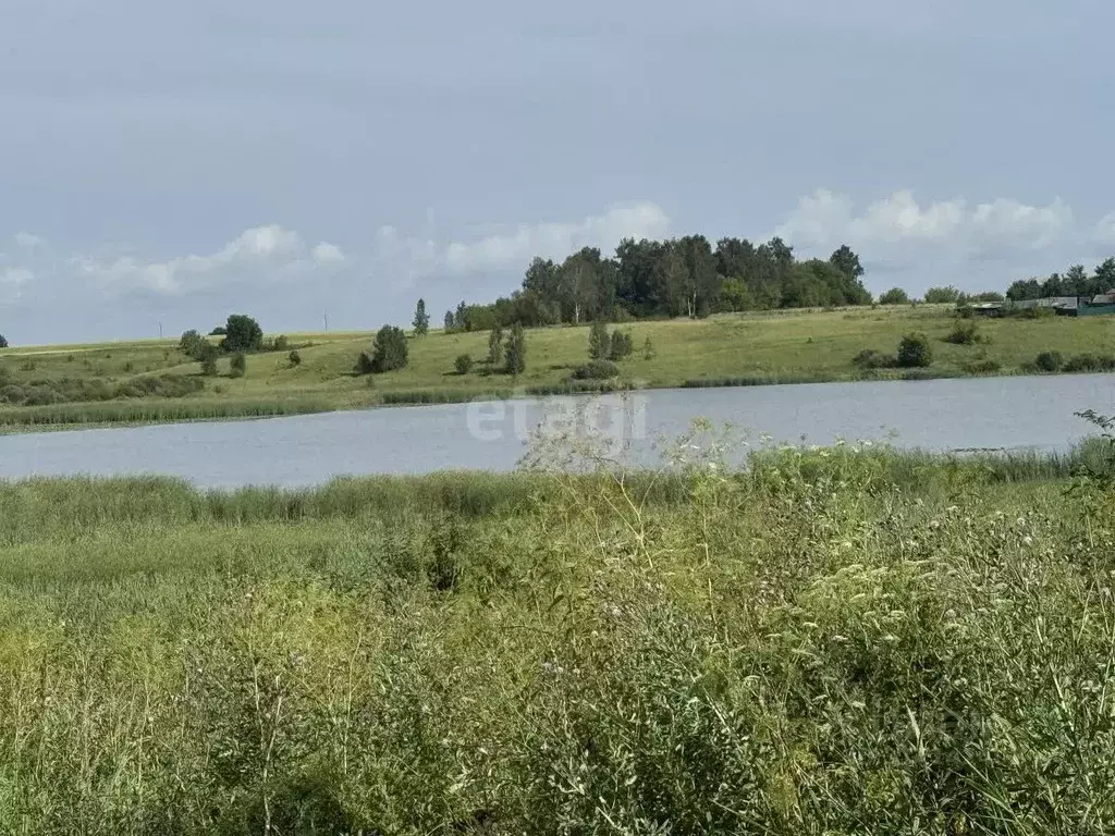 Участок в Брянская область, с. Жирятино  (1270.0 сот.) - Фото 0