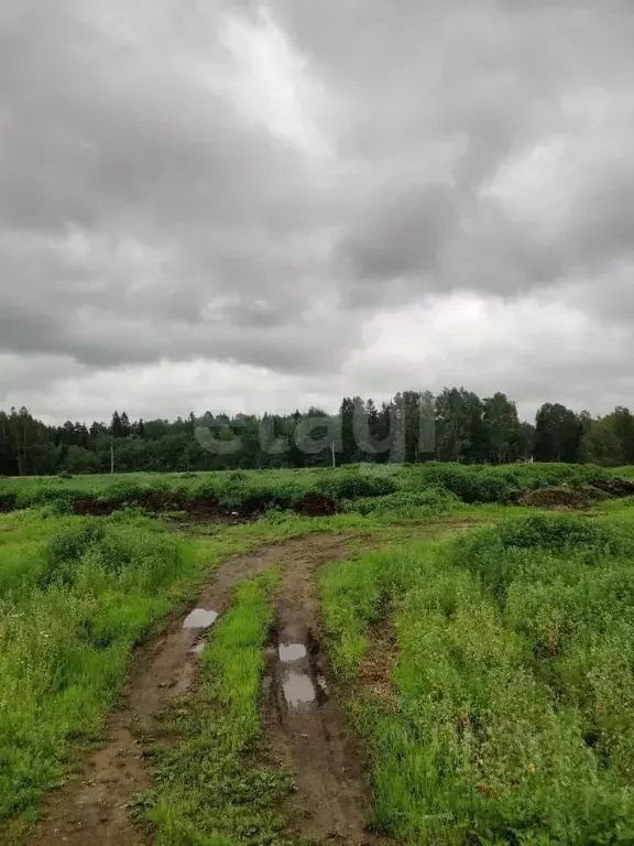 Участок в Московская область, Сергиево-Посадский городской округ, д. ... - Фото 0