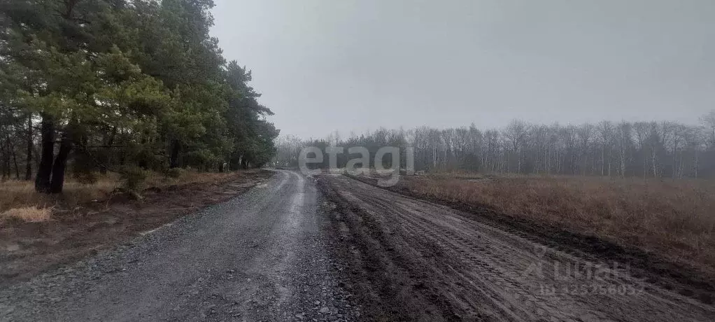 Участок в Белгородская область, Старый Оскол ш. Староворонежское (17.7 ... - Фото 1