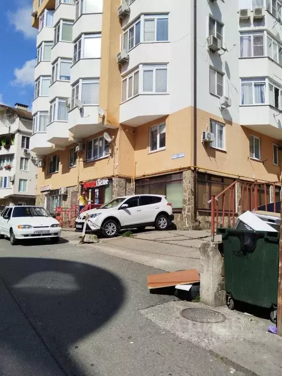 1-к кв. Краснодарский край, Сочи Новый Сочи мкр, ул. Клубничная, 88 ... - Фото 2