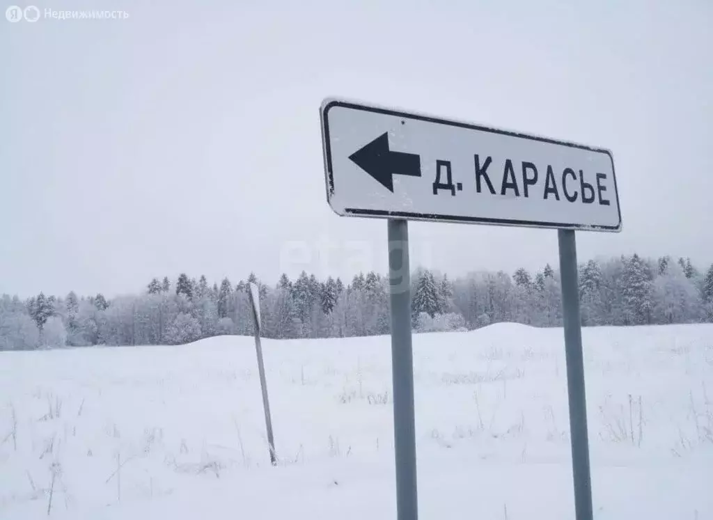 Участок в Пермский муниципальный округ, деревня Карасье, Ясная улица ... - Фото 1