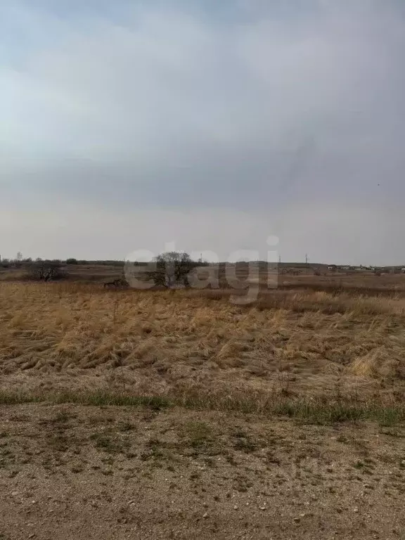 Участок в Амурская область, Благовещенский район, с. Новотроицкое  ... - Фото 1