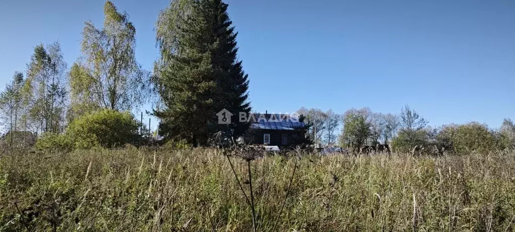 Участок в Владимирская область, Собинский муниципальный округ, д. ... - Фото 1