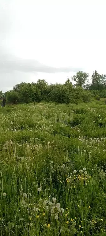 Участок в село Саваслейка, Зелёная улица (37.37 м) - Фото 2