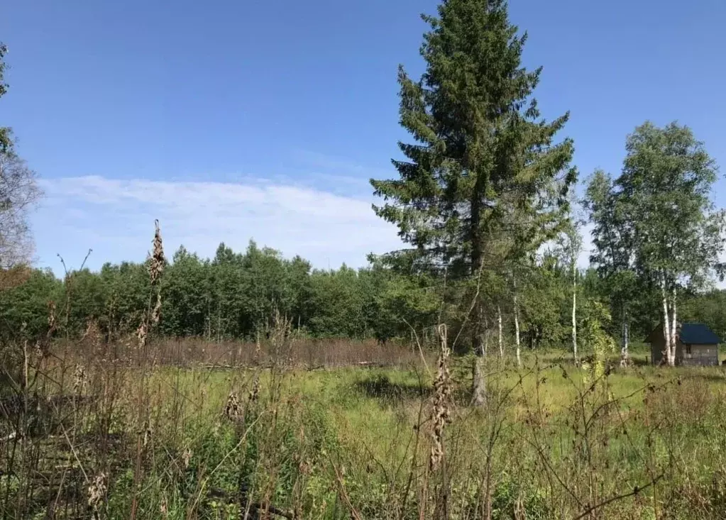 Участок в Ленинградская область, Кировский район, Мгинское городское ... - Фото 0