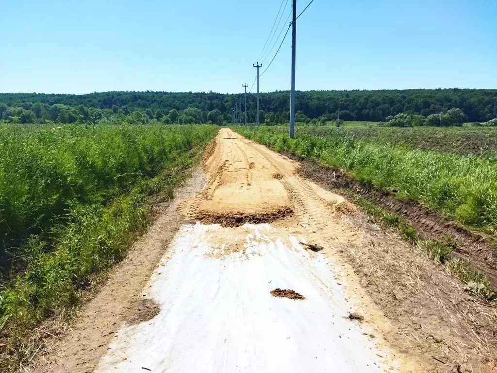 Участок в Тульская область, Ясногорский район, Иваньковское с/пос, ... - Фото 2