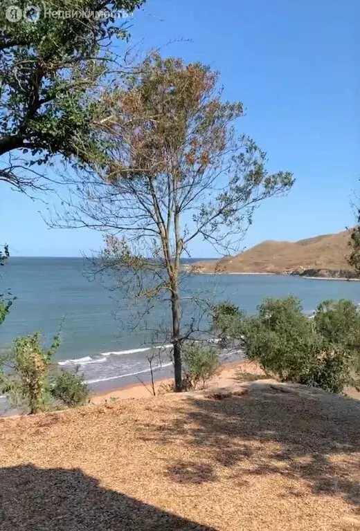 Участок в Глазовское сельское поселение, село Юркино, улица Кирова, 36 ... - Фото 0