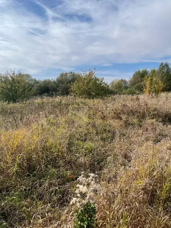 Участок в Московская область, Воскресенск городской округ, с. Карпово  ... - Фото 0