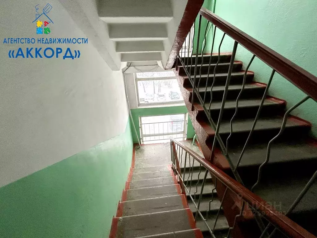 1-к кв. Алтайский край, Бийск ул. Петра Мерлина, 13 (30.8 м) - Фото 2